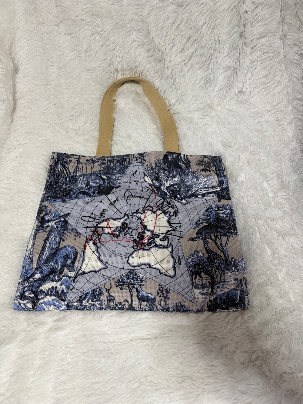 Christian Dior All Around the World Tote Bag with World Map Print